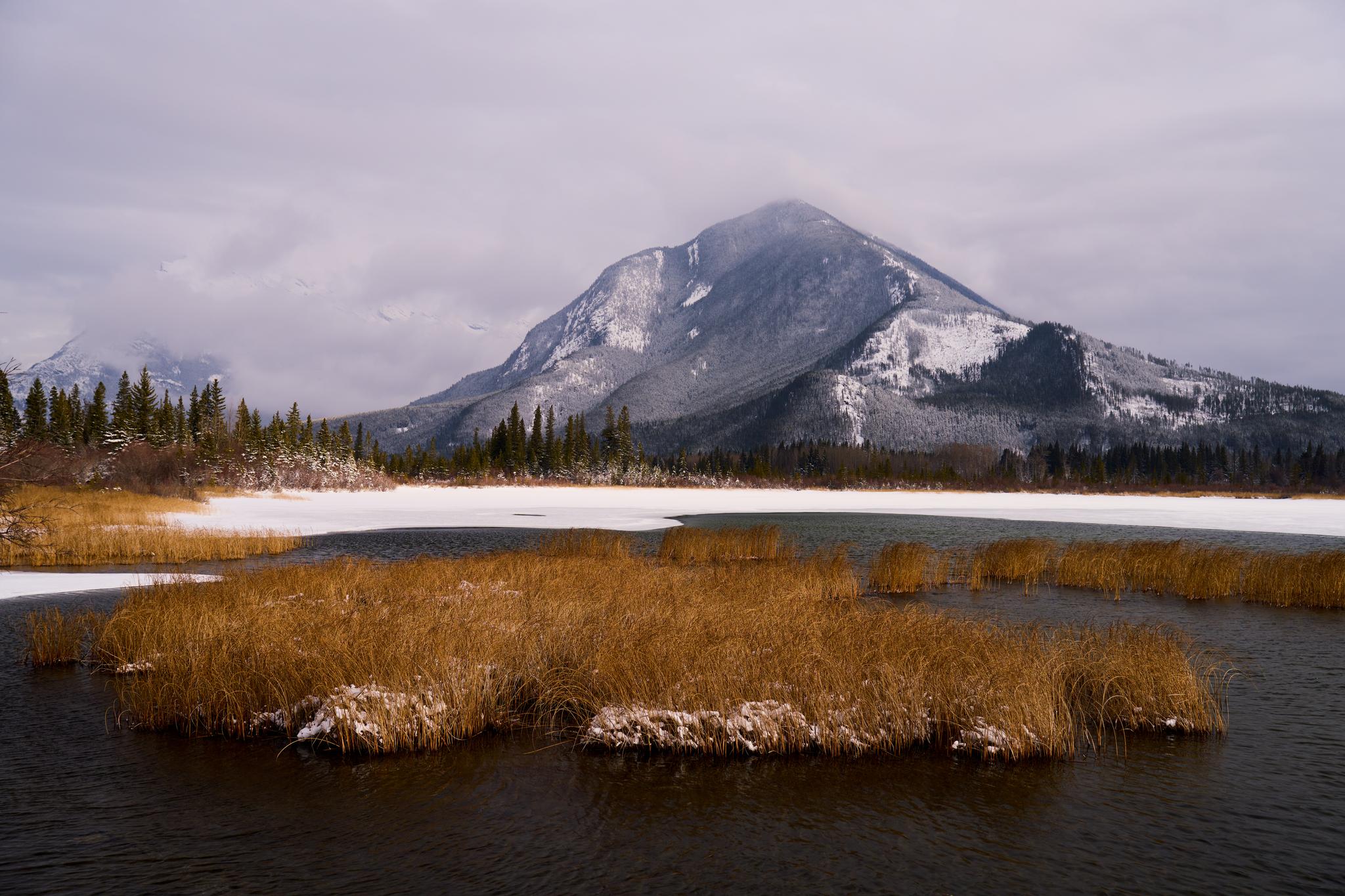 Top 5 Unique Wedding Venues in Banff